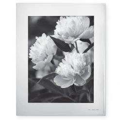 Kate Spade Darling Point™ 8" x 10" Frame