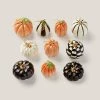 Lenox Mini Pumpkin 10 Piece Ornament Set -lenox Store Online 889140 w10
