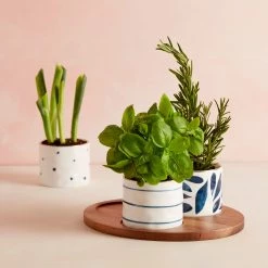 Lenox Blue Bay™ 4pc Snack Bowl & Tray Set -lenox Store Online 890207 LNP S21 FEA 3