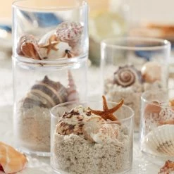 Lenox Tuscany Classics Stackable 6pc Tall Glasses 17 Lenox Tuscany Classics Stackable 6pc Tall Glasses -lenox Store Online 893861 893860 LNP S23 FEA 5